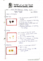 Biology Practicals – Dicot Seed